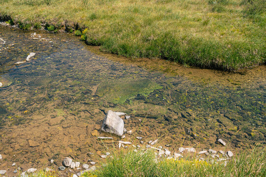 Ruisseau clair sur lit rocheux dans une prairie du Queyras