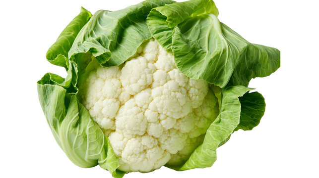 Fresh cauliflower with green leaves