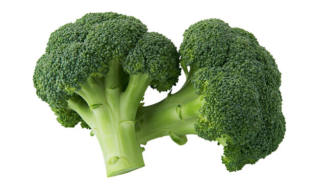 Fresh green broccoli florets and stems