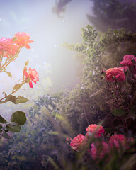 Fototapeta premium Fantasy whimsy vertical background with blooming pink rose flowers in fairy tale magical garden, fairytale glade wallpaper, amazing magic tranquil misty landscape template, scene with copy space.