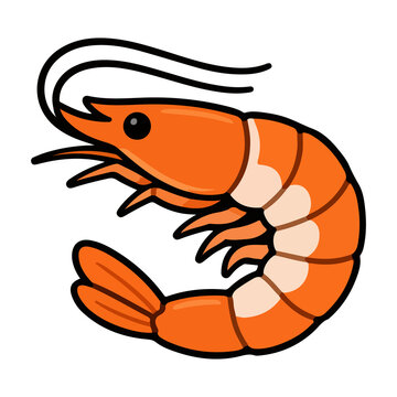 Shrimp or Prawn Seafood Item Vector Illustration