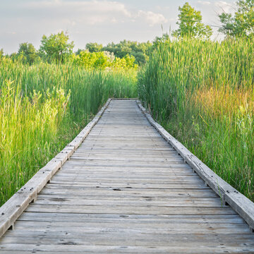 nature trail - wooden boardwalk path through wetlands in a fall scenery - a journey metaphor