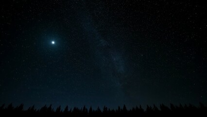 Fototapeta premium Clear night sky over forest showing bright star and milky way galaxy background