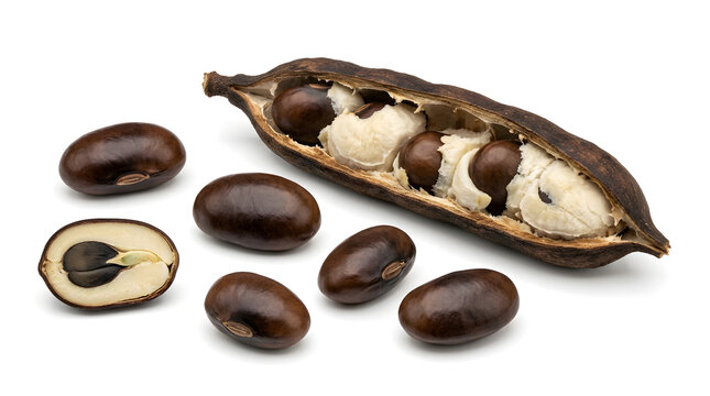 Open carob pod with seeds on white background