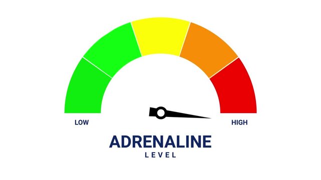 Adrenaline level animated speedometer needle rising from low to high on 4k white background