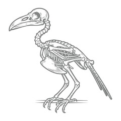 Naklejka premium Bird Skeleton Perched on Branch Engraving Style Illustration