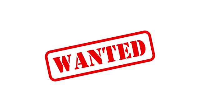 Wanted stamp animated zoom in imprint and shake text on 4k green screen white and black background