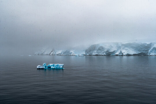 Aerial view of a small blue iceberg floating in dark, calm waters with a massive, snow-covered glacier coastline under a cloudy, overcast sky in Antarctica.