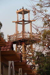 birds (pigeons ?) on a concrete turret in a park in lopburi in thailand © frdric