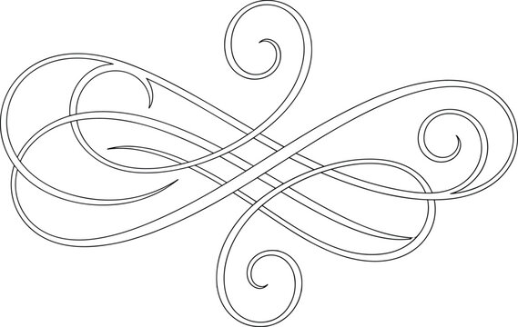 Elegant vintage flourish ornamental divider vector illustration line art decorative scrollwork for typography and wedding invitations