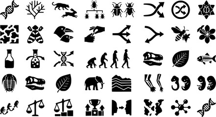 Fototapeta premium Evolution & Natural Selection Silhouette Icon Set. Collection of biology & life science silhouettes, including evolution, natural selection, species adaptation, Darwin theory, and more.