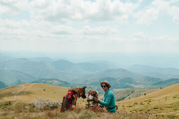 Obraz premium A woman rests beside a German Shepherd and an Australian Shepherd on a grassy mountain ridge in Kopaonik, Serbia. Wide valleys stretch into the distance