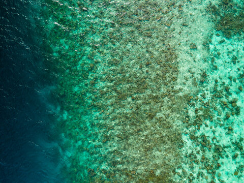 Aerial view of the vibrant coral reef surrounding Meedhupparu island with clear turquoise water and deep blue ocean depths in Meedhupparu, Raa Atoll, Maldives.