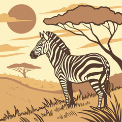 zebra in the wild © Sabbir