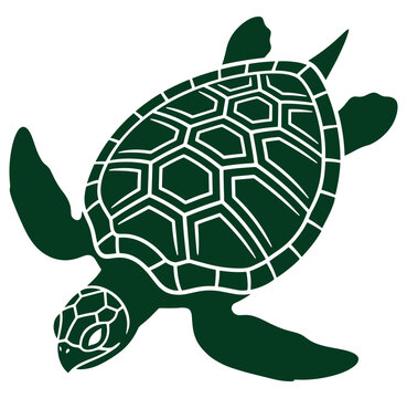 Green turtle swimming isolated on white background with detailed shell pattern