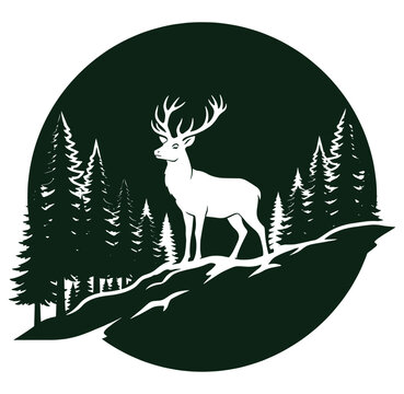 White deer standing on a hill with pine trees in a forest landscape scene