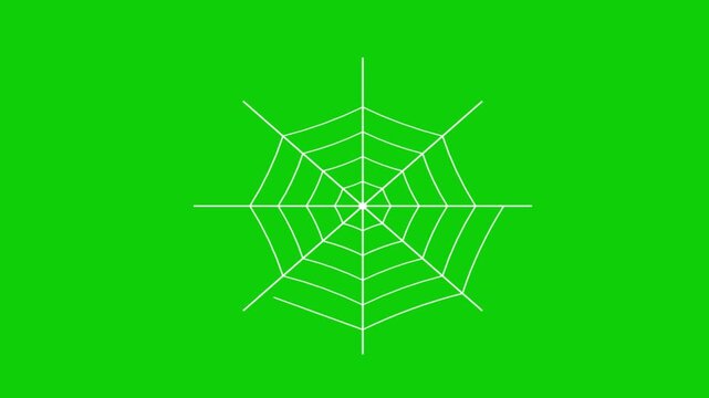 Black widow spider sitting on a symmetrical white web against a bright green screen background motion graphic loop