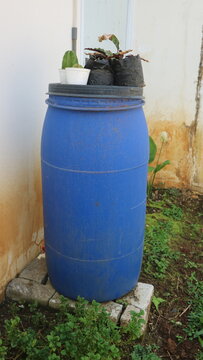 Blue plastic barrel repurposed as a planter for various plants, promoting recycling and sustainable gardening outdoors