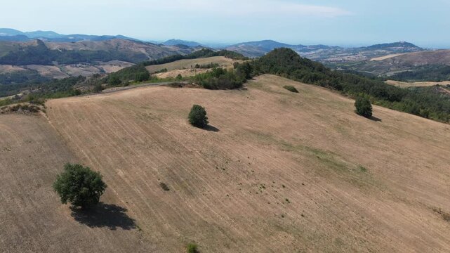 Europe, Italy, Lombardy, Pavia, Mont&ugrave; Berchielli &ndash; drone view of the Oltrep&ograve; Pavese hills; drought and water shortages lead to an early grape harvest for wine production. Global warming and climate ch