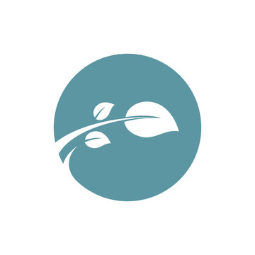 Leaf mint logo vector template