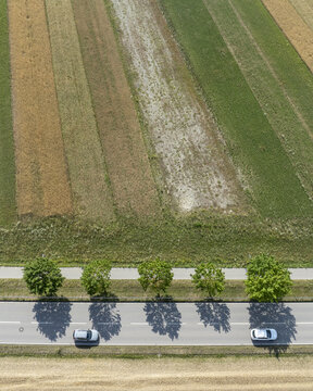 Aerial view of a road with two cars driving past a row of green trees bordering agricultural fields in Vaterstetten, Bavaria, Germany.
