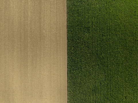 Aerial view of a field divided between tilled brown soil and rows of green crops in Parsdorf, Bavaria, Germany.