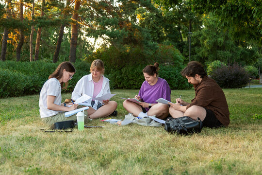 Students studying together on grass in park