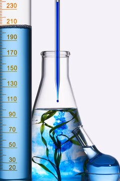 Experiment with blue liquid in glassware