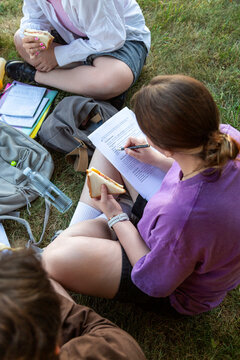 Students studying together outdoors on grass with notebooks