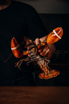Chef holding a fresh live lobster in a dark kitchen