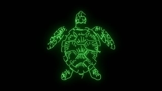 Glowing Green Neon Sea Turtle Swimming Motion Graphic Isolated on Dark Background Loop