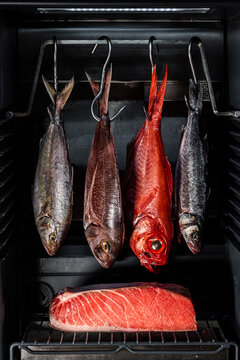 Fresh fish and tuna loin inside a dry aging refrigerator