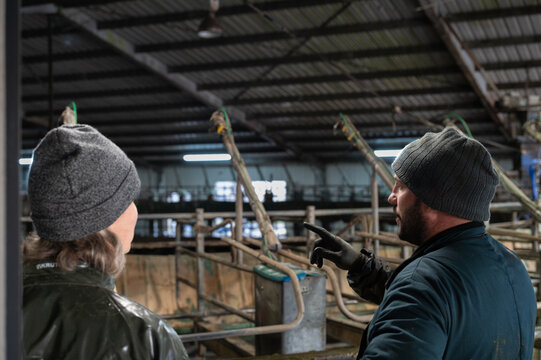Farmer and Vet Consultation - Pointing Out Issues