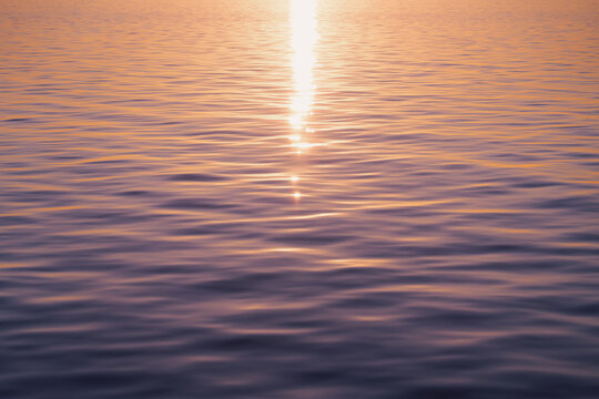 Sunlight Reflecting on Water