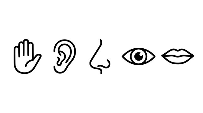 Five human senses icons representing touch hearing smell sight and taste