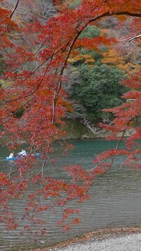 Autumn season in Kyoto, Japan, tourists enjoying a boat ride on the Katsura River, surrounded by the vibrant fall foliage.	