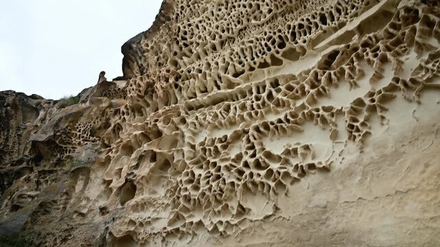 Unique geological formations with intricate patterns on rock surface in nature