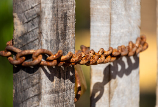 An old heavy-duty, rusty chain wrapped securely around a rustic wooden fence gate with a smooth background