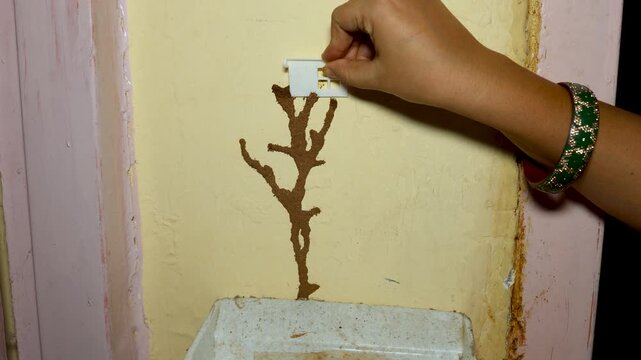 Removing Visible Termite Mud Trail From House Wall With Hand Tool