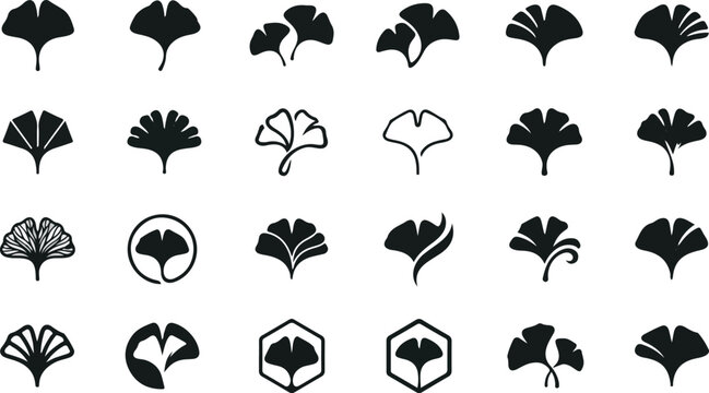 Modern ginkgo biloba leaf logos and vector silhouette icons set
