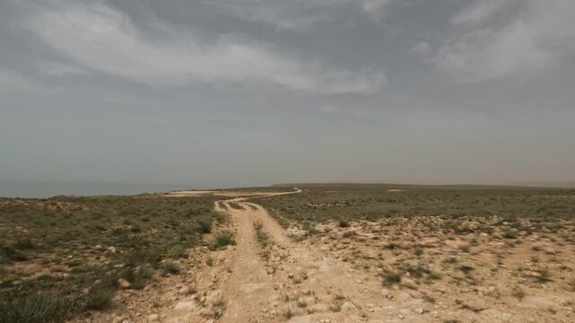 SUV driving along a dirt road through a vast arid landscape with sparse vegetation