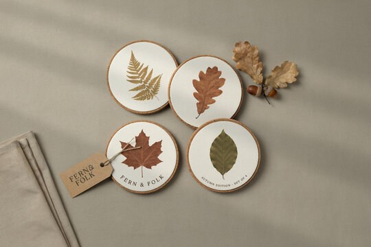A set of four round cork coasters featuring various autumn leaf designs including fern oak maple and an additional green leaf accompanied by a brand tag and decorative dried oak leaves and acorns