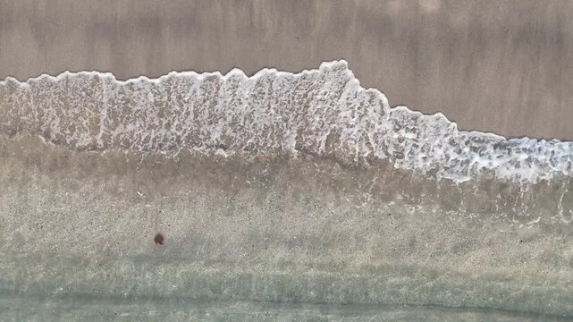 Aerial top down drone view of gentle white wave foam washing onto black sand beach at Nipah Beach, North Lombok, NTB, Indonesia. Crystal clear shallow water meeting dark volcanic sand, abstract natura
