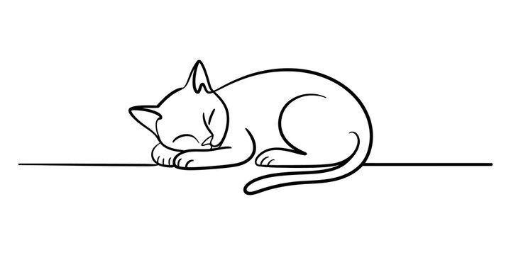 Cute little kitten sleeping peacefully in a simple line art drawing