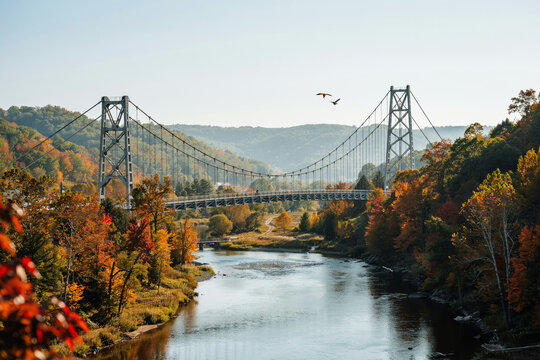 A grand suspension bridge stretches gracefully over a winding river framed by vibrant autumn foliage and rolling hills with two birds soaring peacefully in the clear blue sky