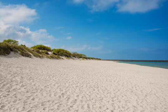 Sand dunes landscape at the sea coastline