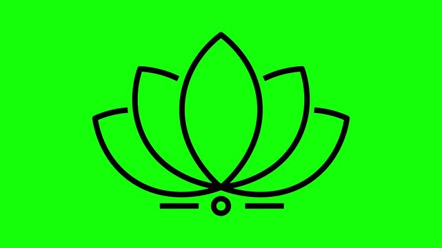 Animated Black Line Art Lotus Flower Icon Stroke Flow Animation isolated on Chroma Key Green Screen Background Overlay
