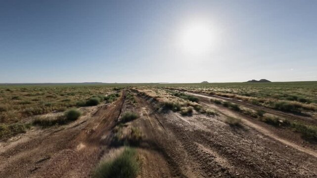 SUV driving on dirt road through expansive grassland under bright sun