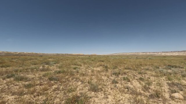 Expansive desert landscape with grass and shrubs under clear blue sky
