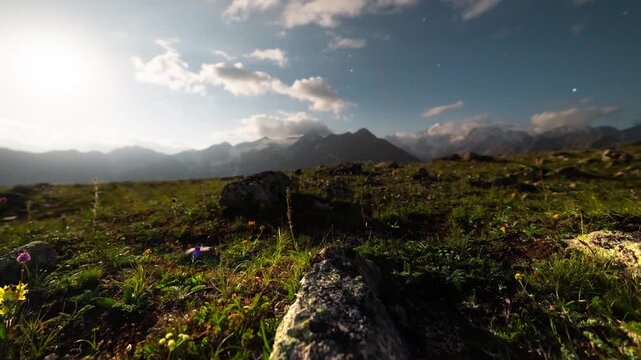 Nighttime hyperlapse of mountain landscape with flowers and rocks in foreground
